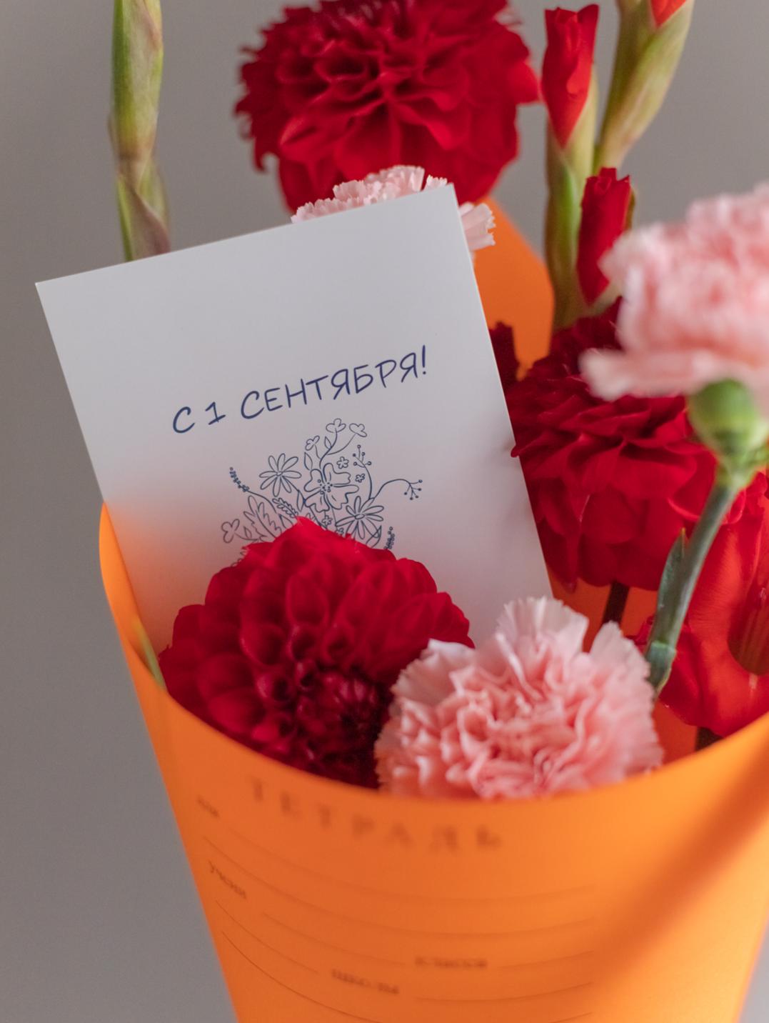 День Знаний Комбо