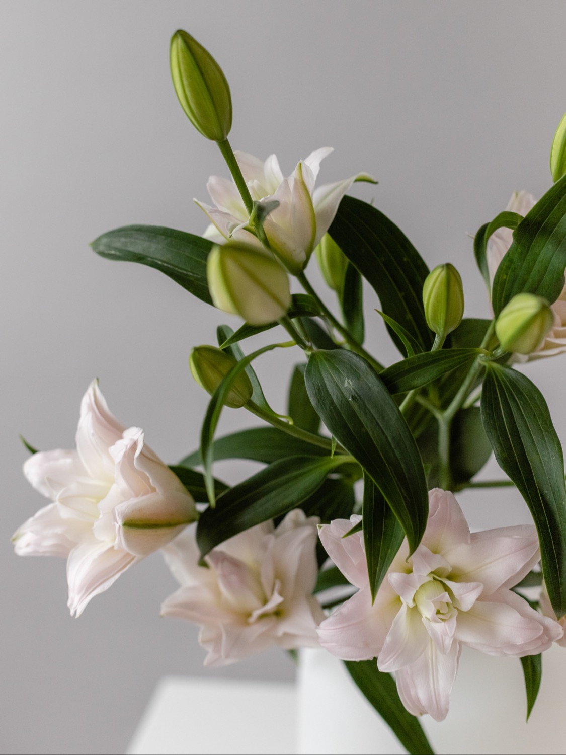 БУКЕТ 712