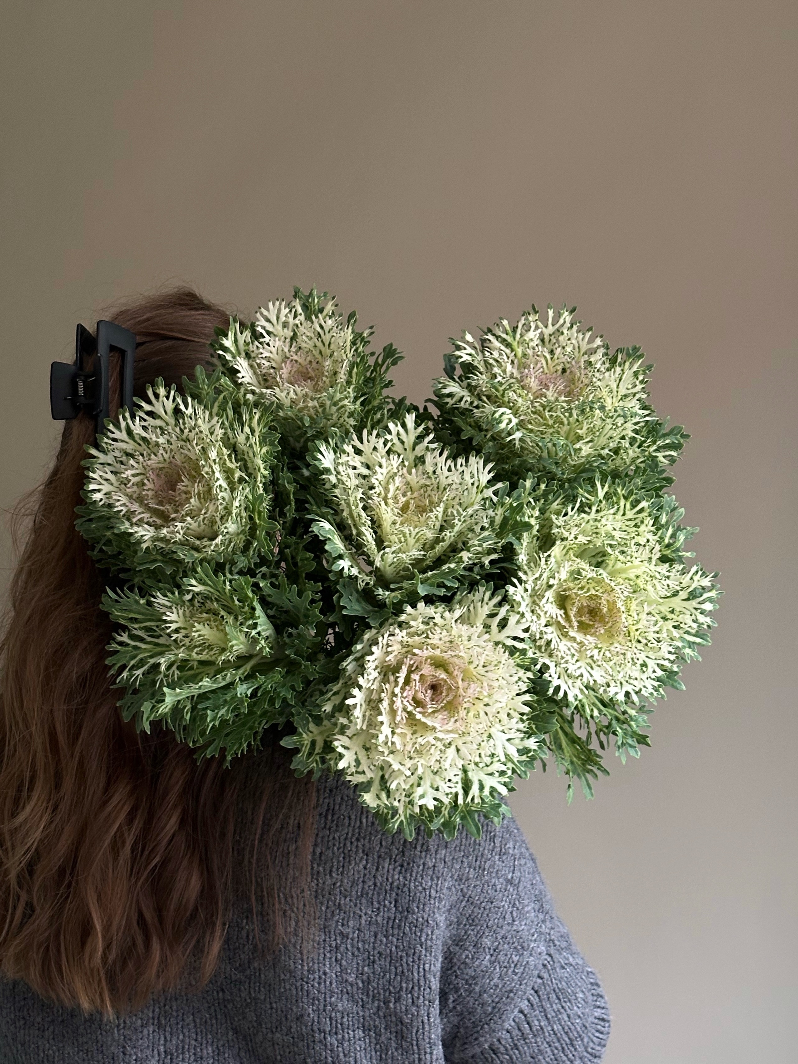 БРАССИКА (КАПУСТА)